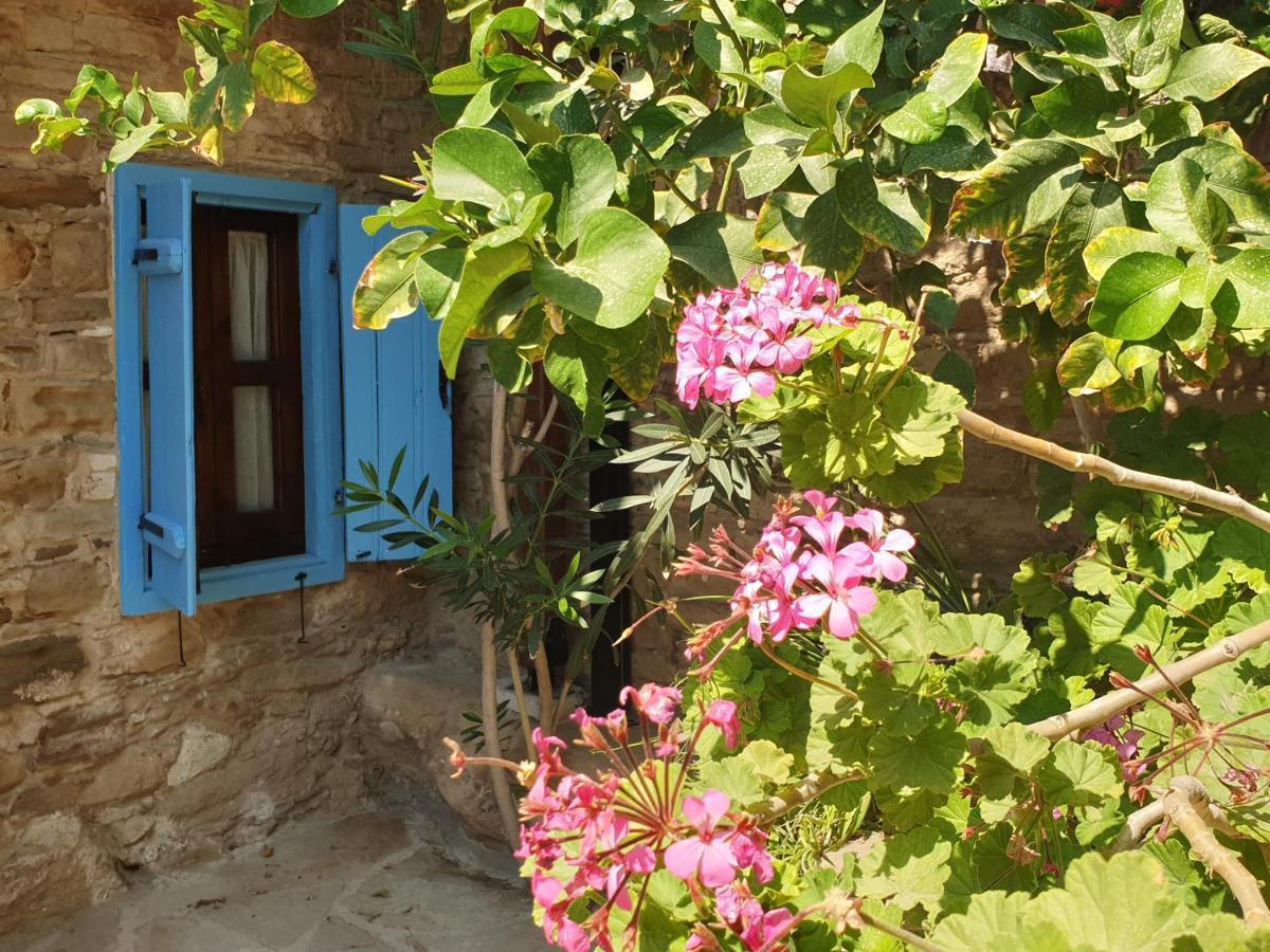 Vasilopoulos House Tóhni Kültér fotó